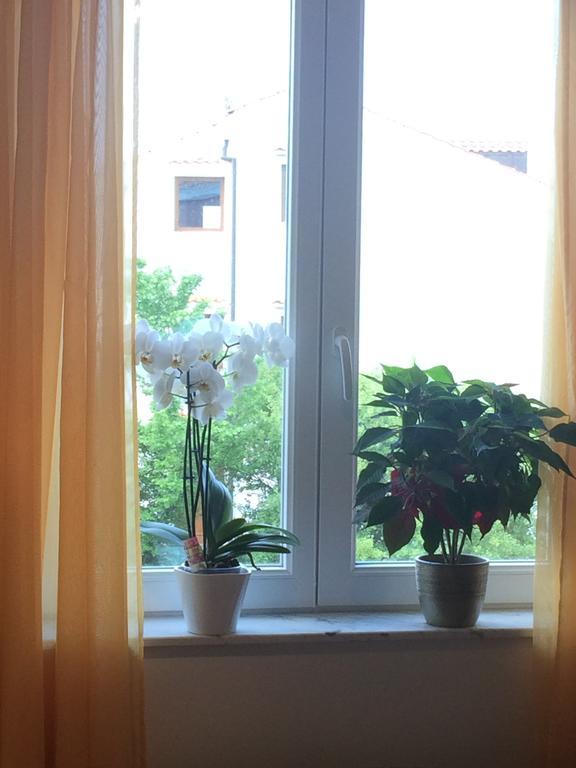 Apartman Snjezana Малинська Екстер'єр фото